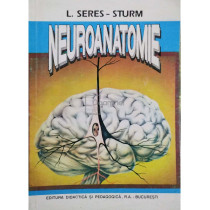 Neuroanatomie