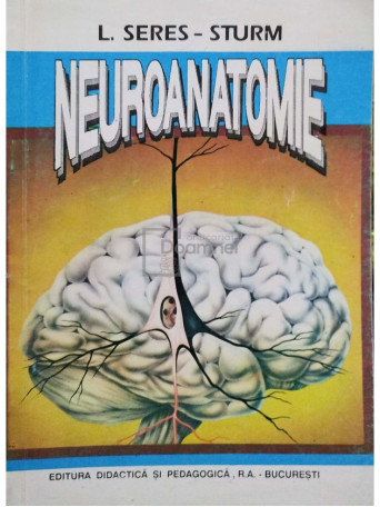 Neuroanatomie