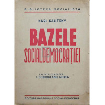 Bazele socialdemocratiei