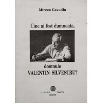 Cine ai fost dumneata, domnule Valentin Silvestru?