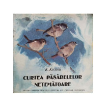 Curtea pasarelelor netematoare