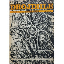 Drojdiile