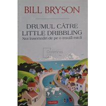 Drumul catre Little Dribbling