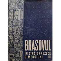 Brasovul in cincisprezece dimensiuni