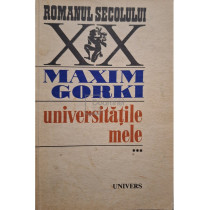 Universitatile mele