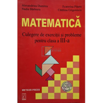 Matematica - Culegere de exercitii si probleme pentru clasa a III-a