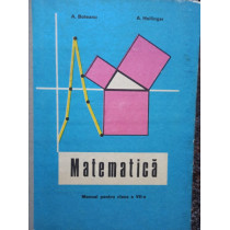 Matematica - Manual pentru clasa a VIIa