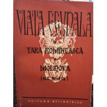 Viata feudala in Tara Romaneasca si Moldova (sec. XIV - XVII)