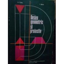 Desen geometric si proiectiv