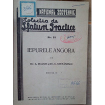 Iepurele angora