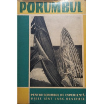 Porumbul