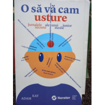 Adam Kay - O sa va cam usture