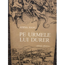 Pe urmele lui Durer