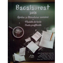 Bacalaureat 2018. Limba si literatura romana