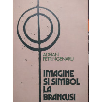 Imagine si simbol la Brancusi