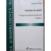 Somatia de plata, editia 2