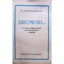 Drumuri...