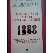 Din culisele luptei pentru putere 19801990