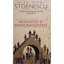 Istoria loviturilor de stat in Romania, vol. 1