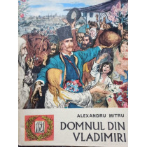 Domnul din Vladimiri