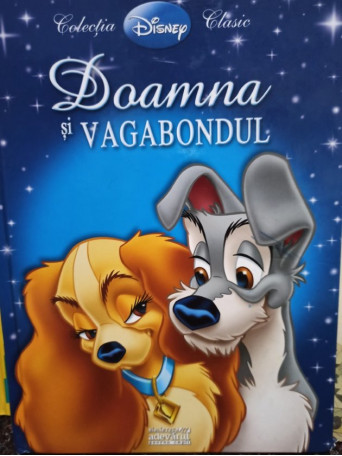 Doamna si vagabondul