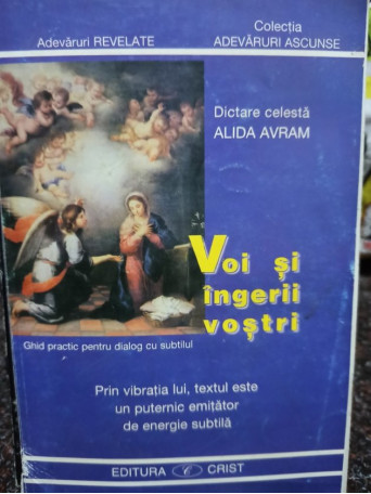 Voi si ingerii vostri