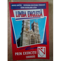 Limba engleza prin exercitii