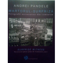 Martorul surpriza / Surprise witness