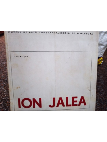 Ion Jalea