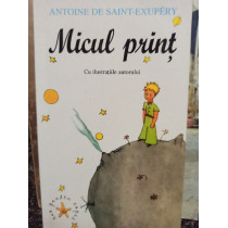 Micul Print