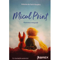 Micul Print