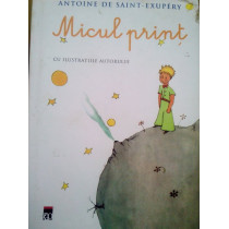 Exupery - Micul print