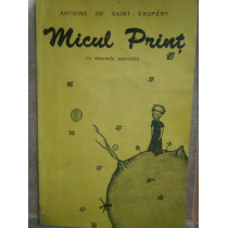 Exupery - Micul print cu desenele autorului