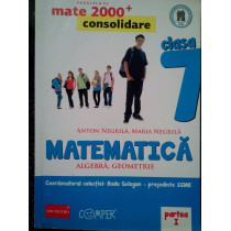 Matematica. Algebra, geometrie pentru clasa a VIIa