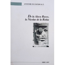 De la Alecu Russo, la Nicolae de la Rohia