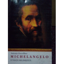 Michelangelo o viata nelinistita