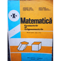 Matematica. Geometrie si trigonometrie. Manual pentru clasa a Xa