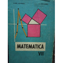 Matematica. Manual pentru clasa a VIIa