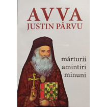 Marturii amintiri minuni