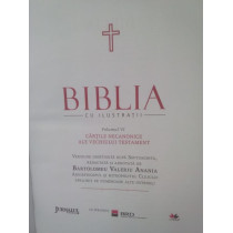 Biblia cu ilustratii, volumul VI