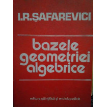 Bazele geometriei algebrice