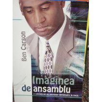 Imaginea de ansamblu