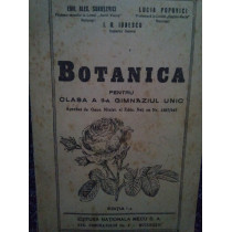 Botanica pentru clasa a IIa gimanziul unic