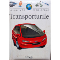 Transporturile