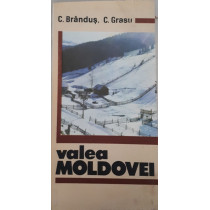 VALEA MOLDOVEI