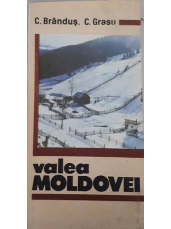 VALEA MOLDOVEI