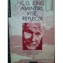 Amintiri, vise, reflectii