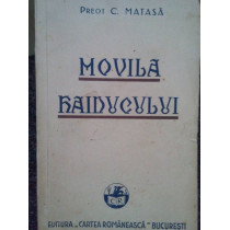 Movila Haiducului