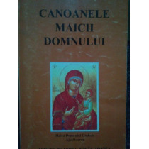 Canoanele Maicii Domnului. Maica Domnului Grabnic Ajutatoarea