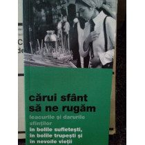 Carui Sfant sa ne rugam. Leacurile si darurile sfintilor in bolile sufletesti, trupesi si nevoile vietii